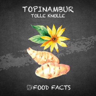 Gemüse – Topinambur Thumbnail