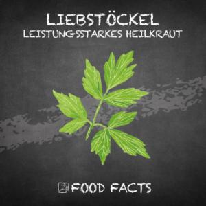 Gewürz – Liebstöckel Thumbnail