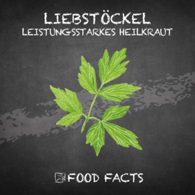 Gewürz – Liebstöckel Thumbnail