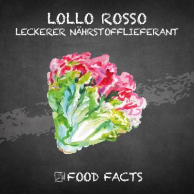 Gemüse – Lollo Rosso Thumbnail