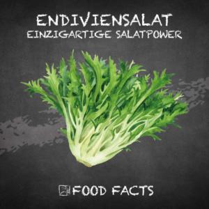 Gemüse – Endiviensalat Thumbnail