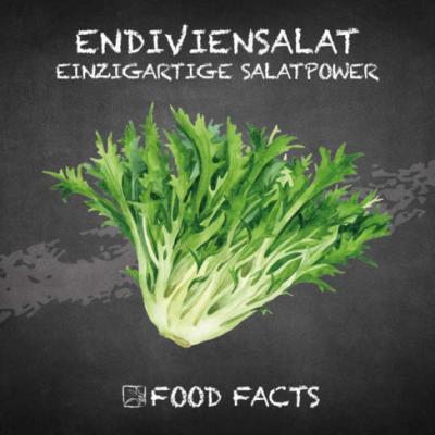 Gemüse – Endiviensalat Thumbnail