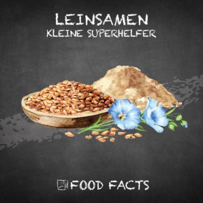 Getreide – Leinsamen Thumbnail