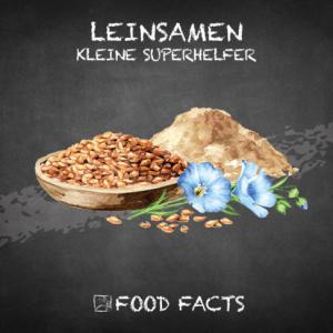 Getreide – Leinsamen Thumbnail