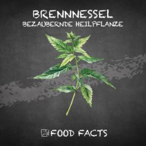 Gewürz – Brennnessel Thumbnail
