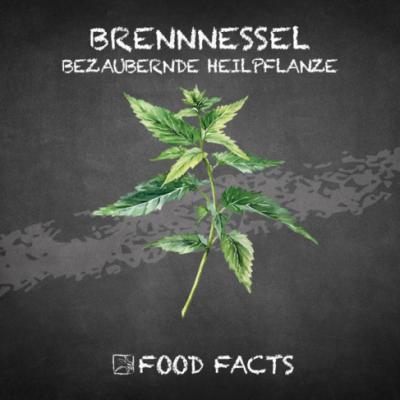 Gewürz – Brennnessel Thumbnail