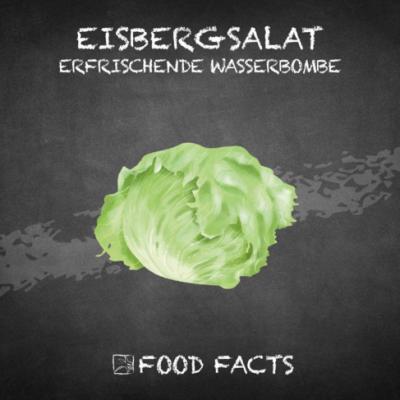 Gemüse – Eisbergsalat Thumbnail