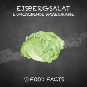 Gemüse – Eisbergsalat Thumbnail