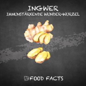 Gewürz – Ingwer Thumbnail
