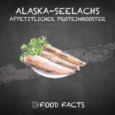 Fisch – Alaska-Seelachs Thumbnail