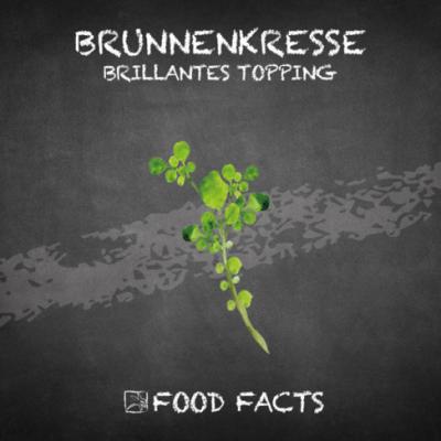 Gewürz – Brunnenkresse Thumbnail