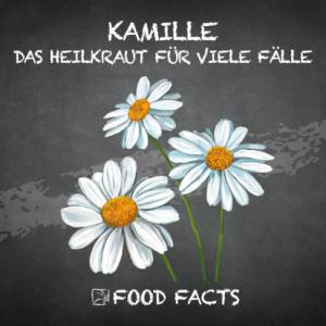 Gewürz – Kamille Thumbnail