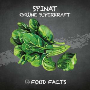 Gemüse – Spinat Thumbnail