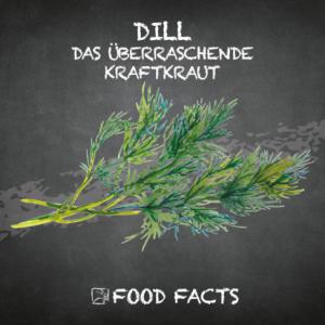 Gewürz – Dill Thumbnail