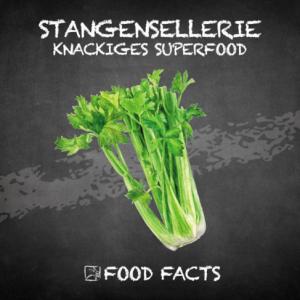 Gemüse – Stangensellerie Thumbnail
