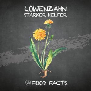 Gemüse – Löwenzahn Thumbnail