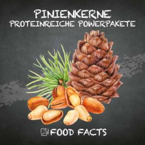 Früchte – Pinienkerne Thumbnail