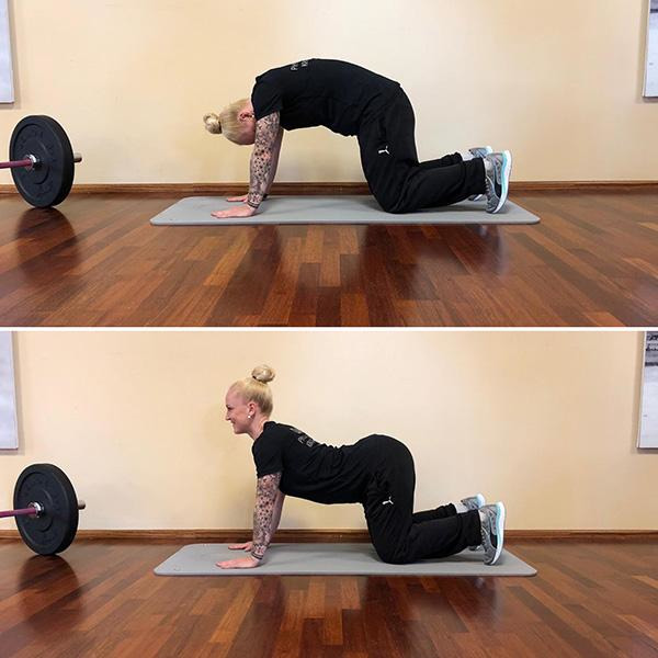 Mobilisation für zwischendurch: Oberkörper