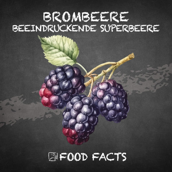 Brombeere Food Fact 