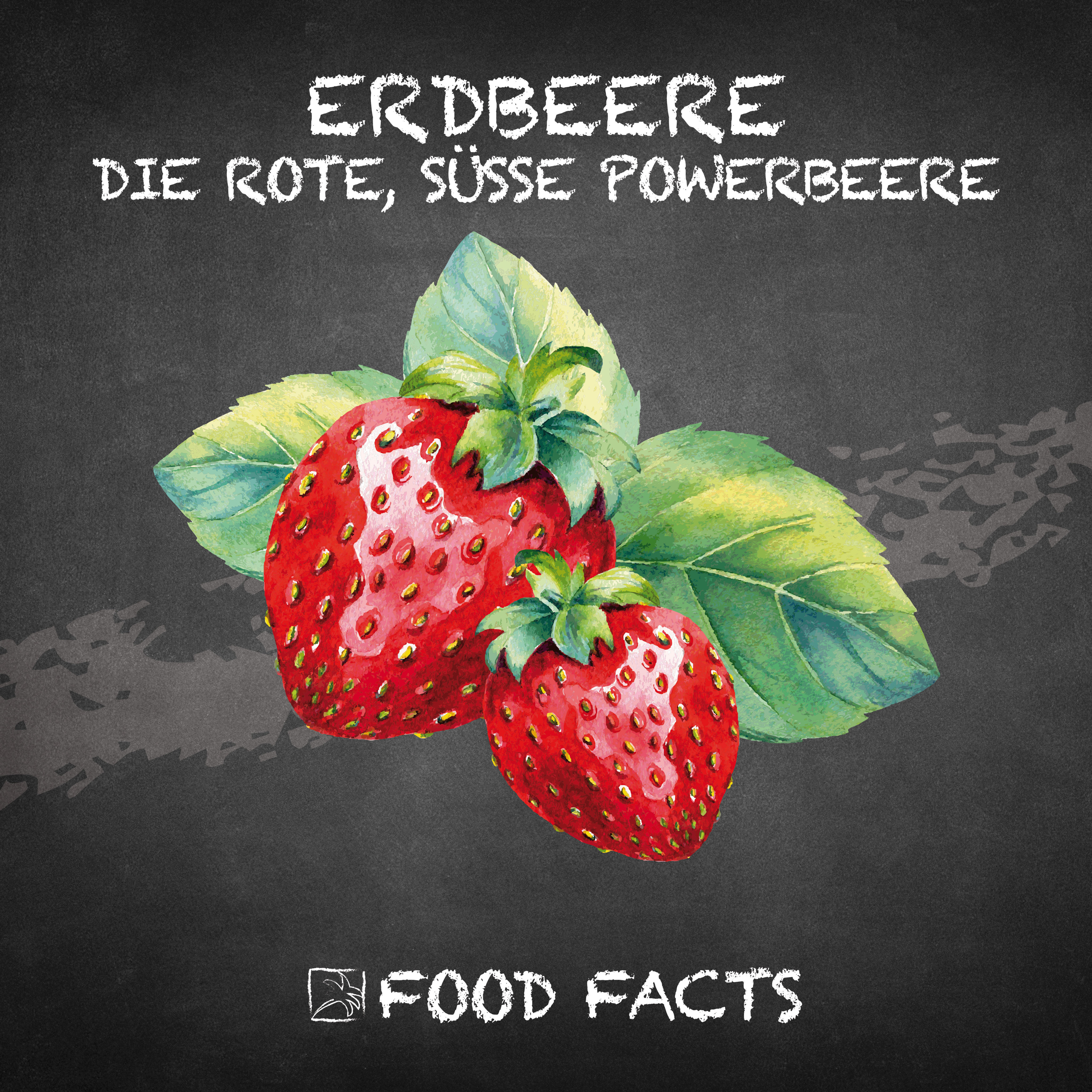 Erdbeere Food Fact 