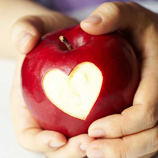 Das Ernährungskonzept der Unternehmensgruppe Pfitzenmeier